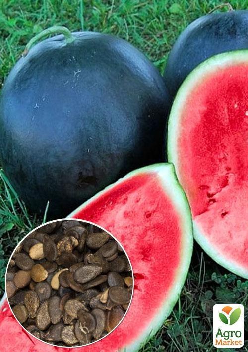 На развес Арбуз "Ультраранний" ТМ "Весна" цена за 5г