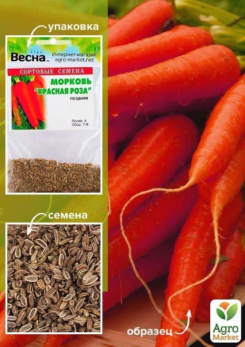 Морква "Червона троянда" (Зипер) ТМ "Весна" 5г