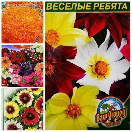 Комплект семян цветов "Красивый пейзаж" 5уп