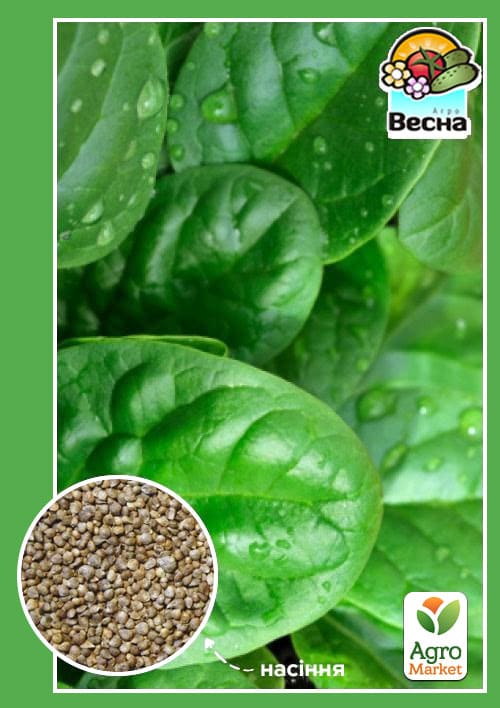 Шпинат "Матадор" ТМ "Весна" 2г