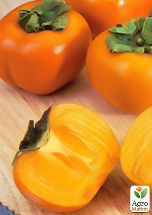 Хурма Росіянка (сіянець) - фото 4