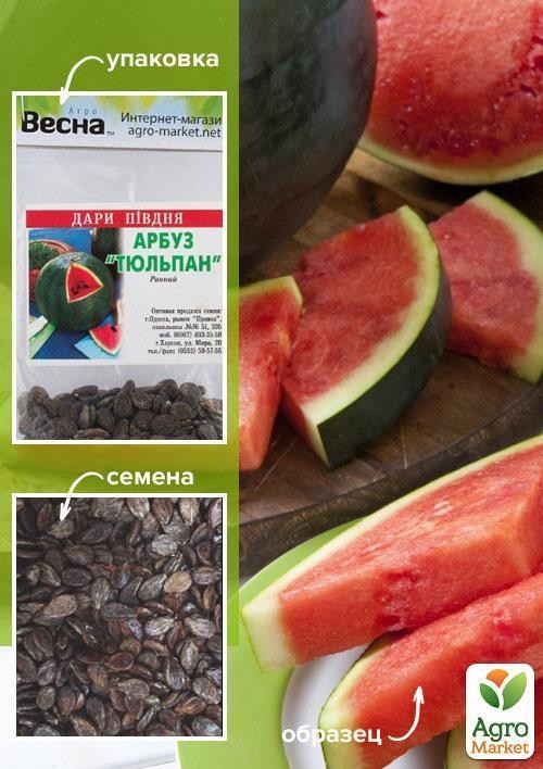 Кавун "Тюльпан" (Зипер) ТМ "Весна" 4г