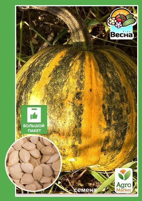 Гарбуз "Мозоліїський -15" (Великий пакет) ТМ "Весна" 8г