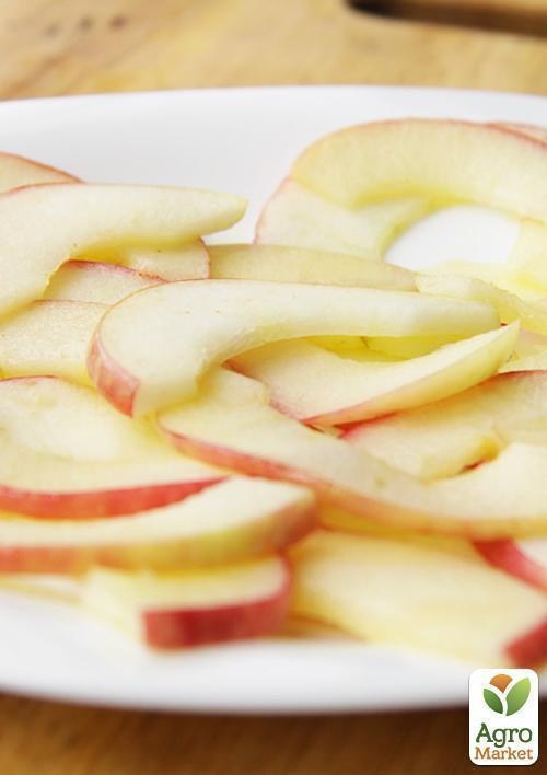 Яблуня "Чемпіон Рено" (зимовий сорт, пізній термін дозрівання) - фото 3