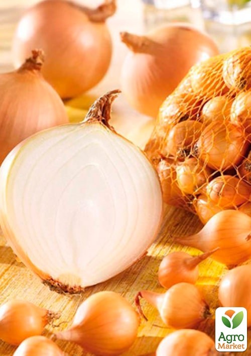 Лук "Штутгартен ризен" (Зипер) ТМ "Весна" 3г - фото 2