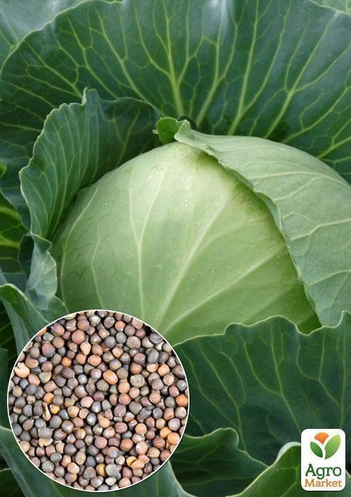 На развес Капуста "Украинская осень" ТМ "Весна" цена за 6г