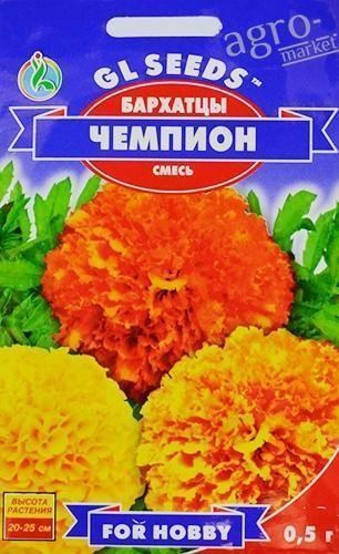 Чорнобривці "Чемпіон" ТМ "GL SEEDS" 0,5г
