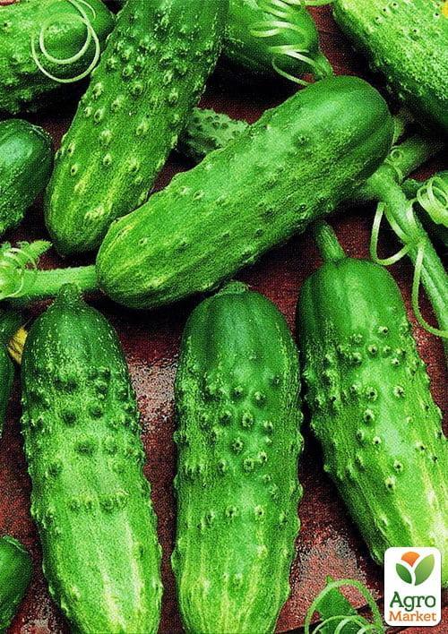 Огурец "Парижский корнишон" (Зипер) ТМ "Весна" 2г - фото 3