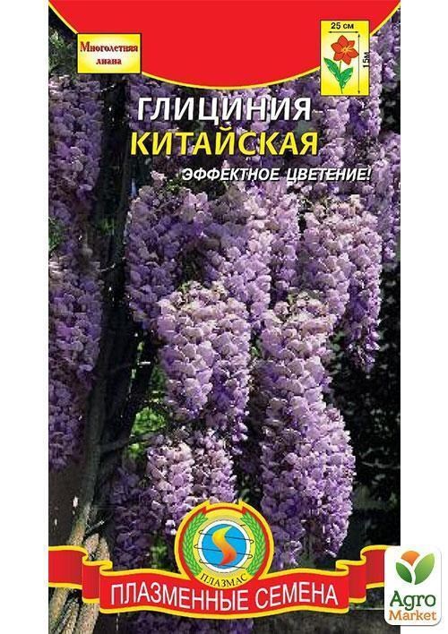 Глициния китайская  ТМ "Плазменные семена" 2шт