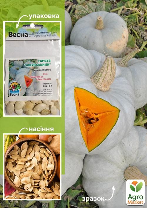 Гарбуз "Лікувальний" (Зипер) ТМ "Весна" 5г