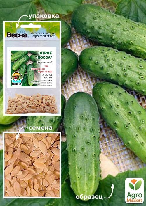 Огурец "Посол" (Зипер) ТМ "Весна" 2г