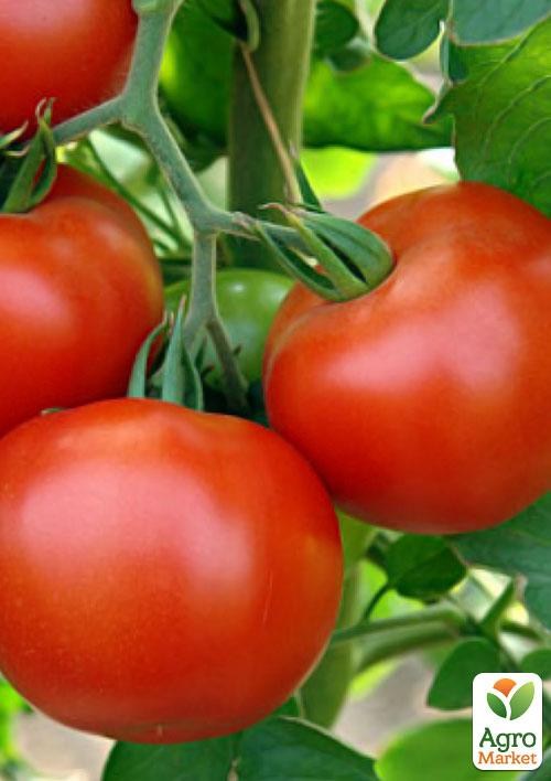 Томат "Крепкий орешек" ТМ "Vesna Select" 0,2г