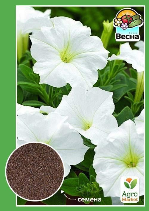 Петунія великоквіткова біла ТМ "Весна" 0.3г