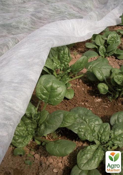 Біле агроволокно покривне ТМ "Agreen" Ширина 1.6м, Довжина 10м, Щільність 23 - фото 3