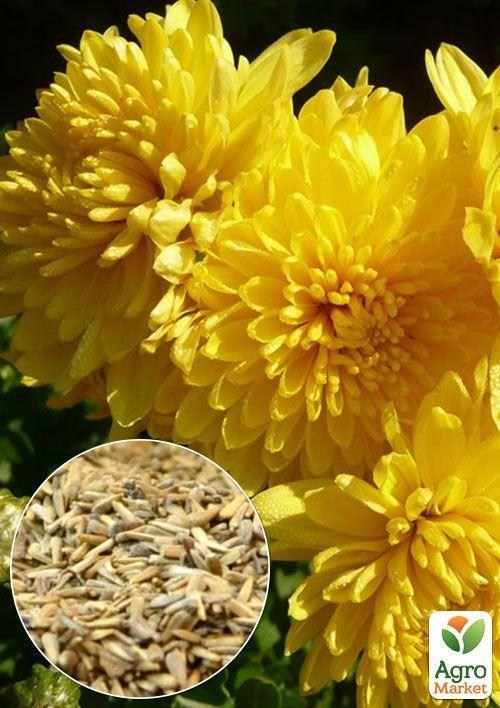 На развес Астра пионовидная желтая ТМ "Весна" цена за 1,5г