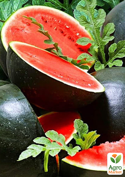 Арбуз "Шуга Беби" (зипер) ТМ "Весна" 4г