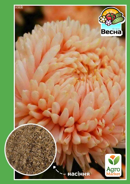 Астра "Королевский размер лососевая" ТМ "Весна" 0.2г