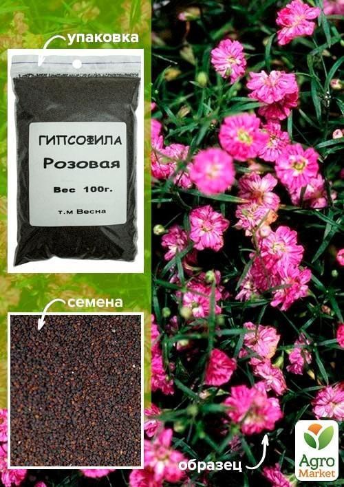 Гіпсофіла рожева ТМ "Весна" 100г