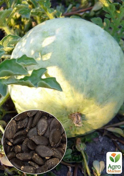 На вагу Кавун "Бінго" ТМ "Весна" ціна за 6г