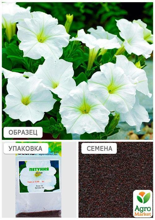Петунія "Біла" (Зипер) ТМ "Весна" 1г - фото 2