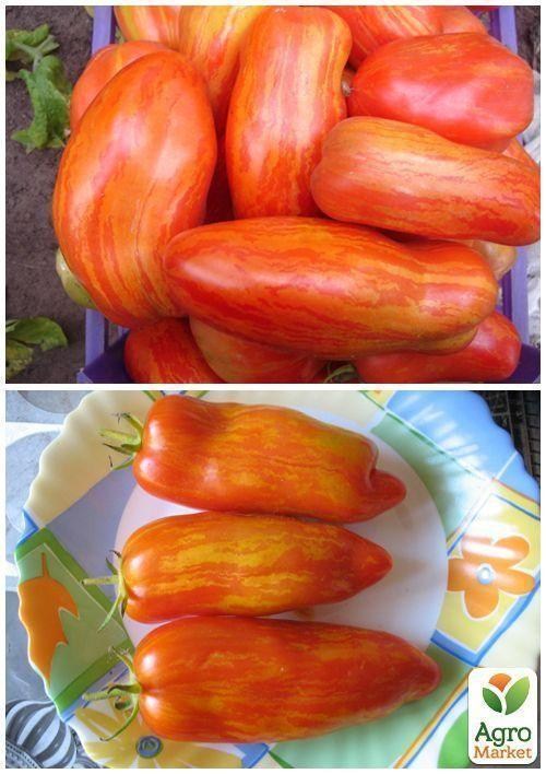 На развес Томат "Тигровый" ТМ "Весна" цена за 1г - фото 2