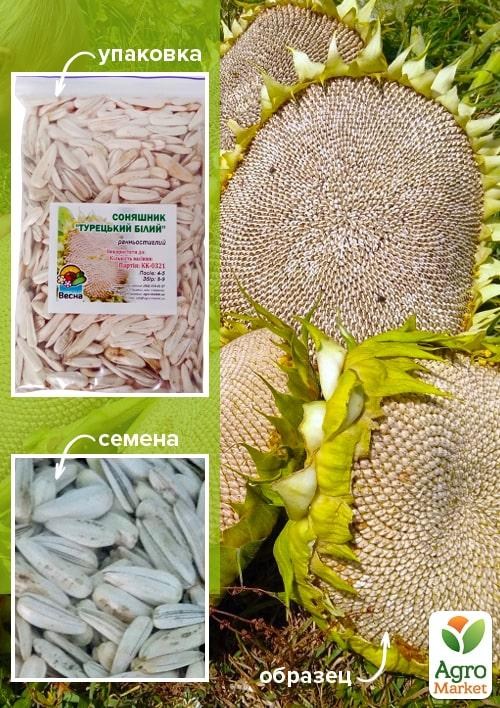 Подсолнечник "Турецкий белый" ТМ "Весна" 100г