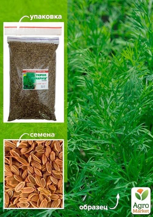 Укроп "Шмарагд" ТМ "Весна" 500г