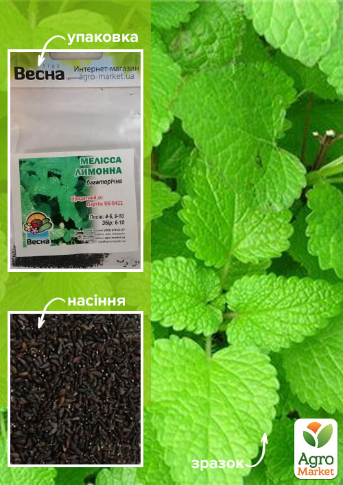 Мелісса лимонна (Зипер) ТМ "Весна" 0.5г