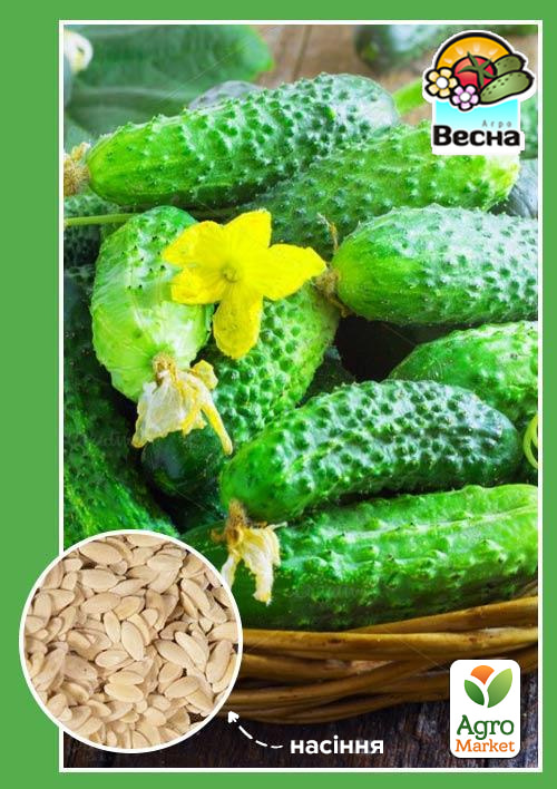 Огурец-корнишон "Капелька F1" ТМ "Весна" 0.25г