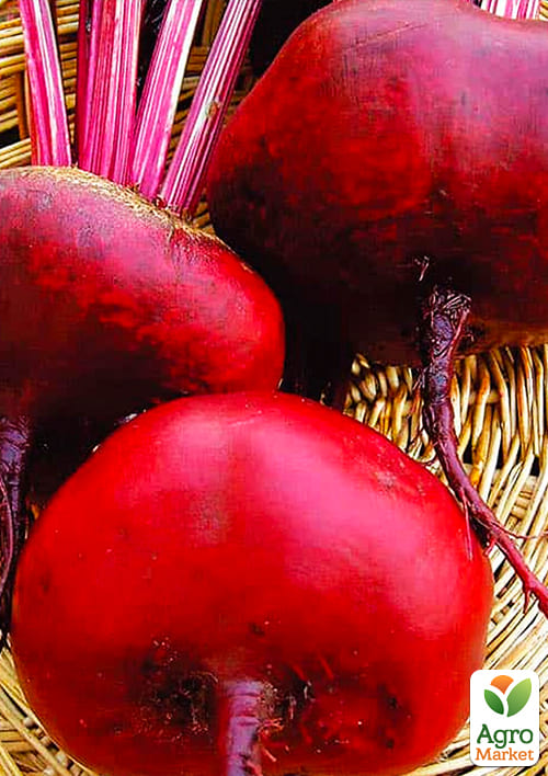 На развес Свекла "Круглая темно-красная" ТМ "Весна" цена за 10г - фото 2