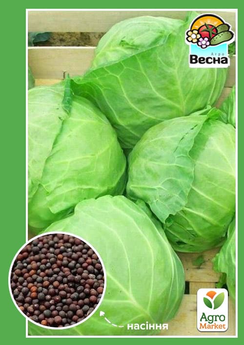 Капуста "Раннеспелая" ТМ "Весна" 0.5г