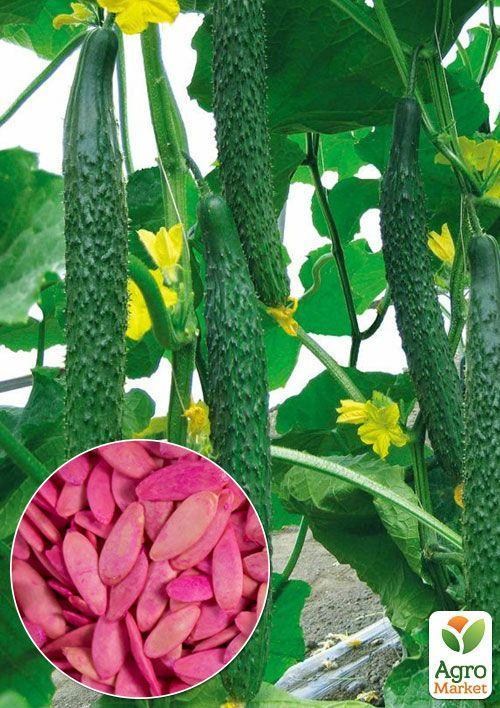 На развес Огурец "Крокодил Гена" ТМ "Весна" цена за 2г