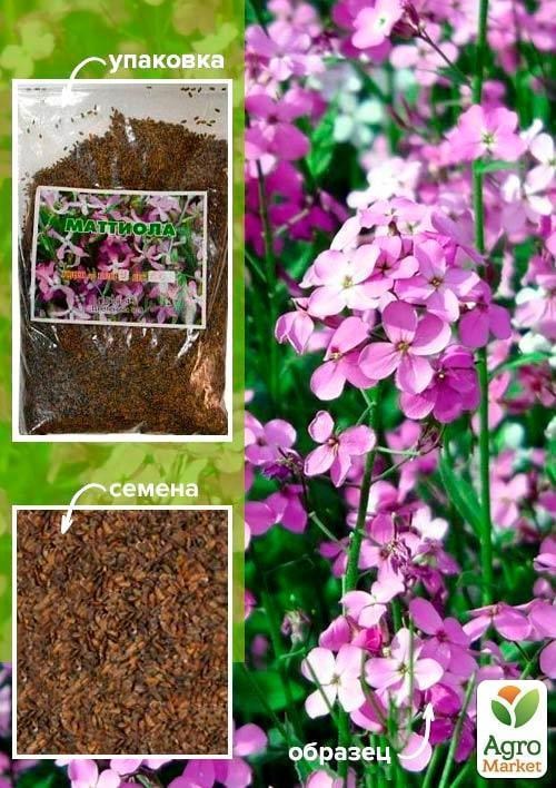 Маттиола ТМ "Весна" 100г