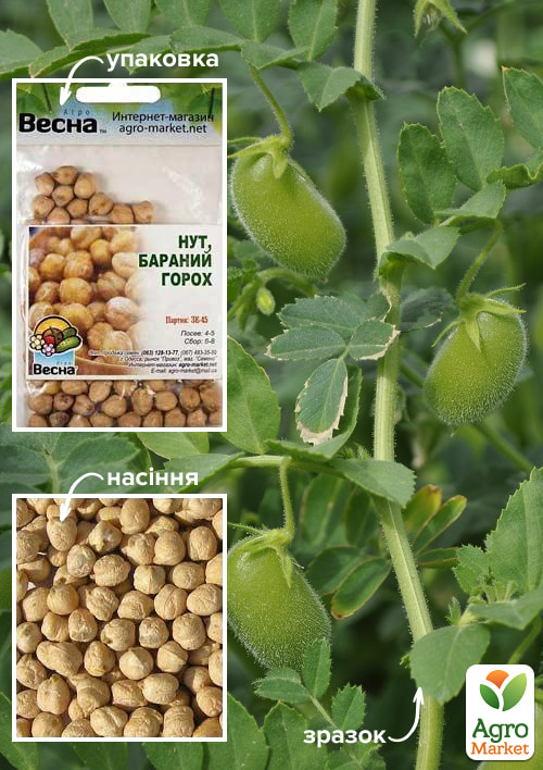 Нут (бараний горох) (зипер) ТМ "Весна" 30г