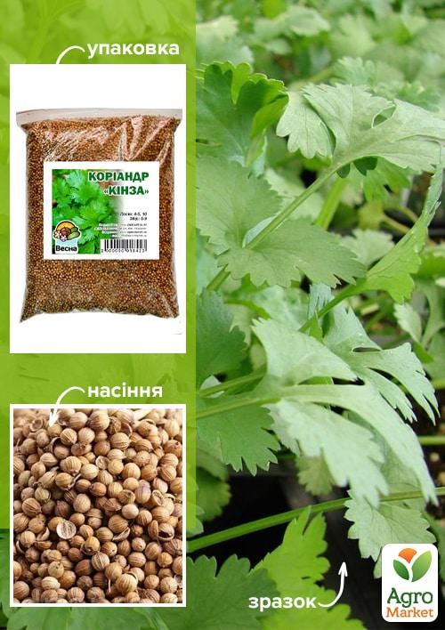 Коріандр "Кинза" ТМ "Весна" 500г