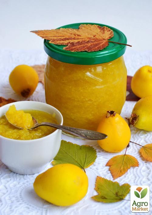 Айва "Відмінниця" (осінній сорт, середнього терміну дозрівання) - фото 4