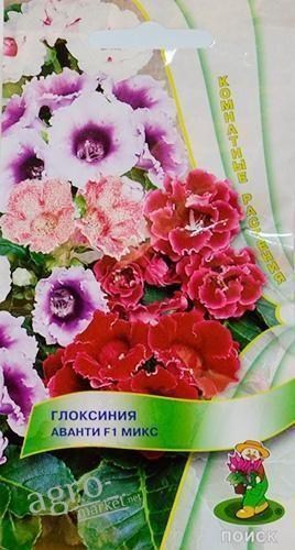 Глоксиния "Аванти F1 микс" ТМ "Поиск" 5шт