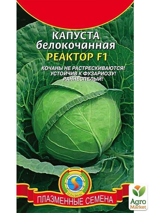 Капуста белокочанная "Реактор F1" ТМ "Плазменные семена" 10шт