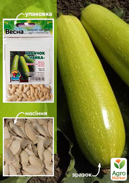 Кабачок "Чайка" (Зипер) ТМ "Весна" 5г