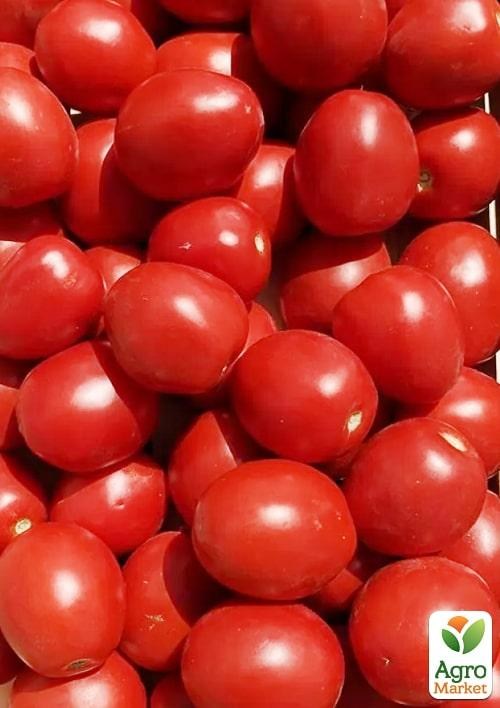 Томат детерминантный "9969 F1" ТМ "Lark Seeds" 5000шт