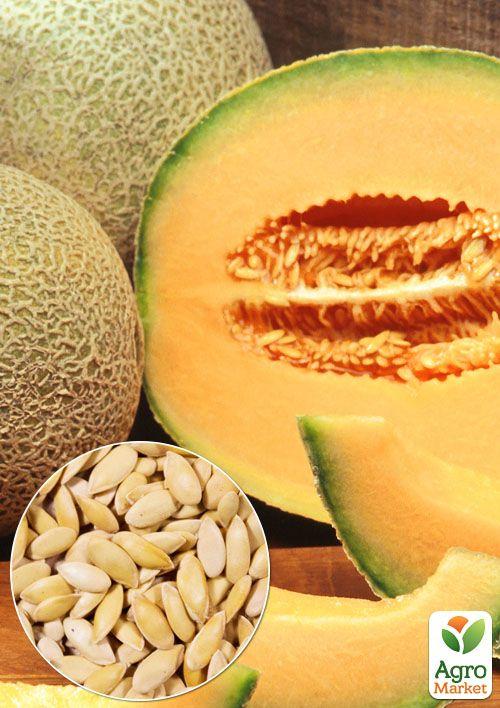 На развес Дыня "Ананас" ТМ "Весна" цена за 5г