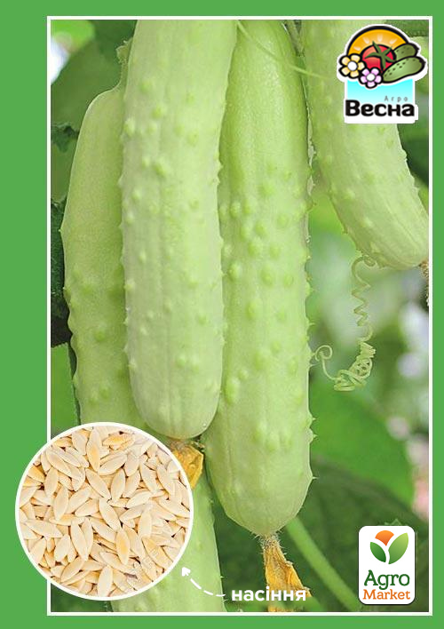 Огірок "Білий ангел" ТМ "Весна" 0.25г