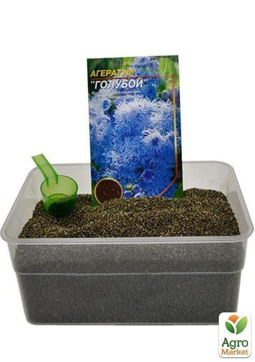На вагу Агератум блакитний ТМ "Весна" ціна за 3г - фото 3