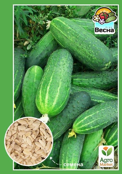Огірок "Фенікс 640" ТМ "Весна" 0.5г