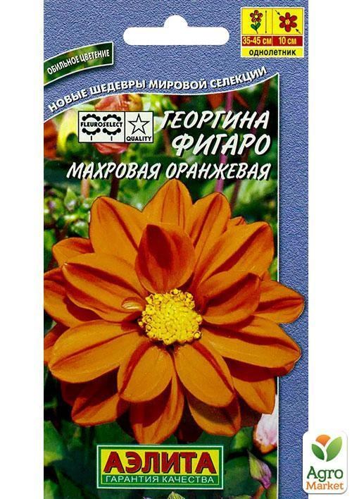 Георгина махровая "Фигаро оранжевая" ТМ "АЭЛИТА" 7шт