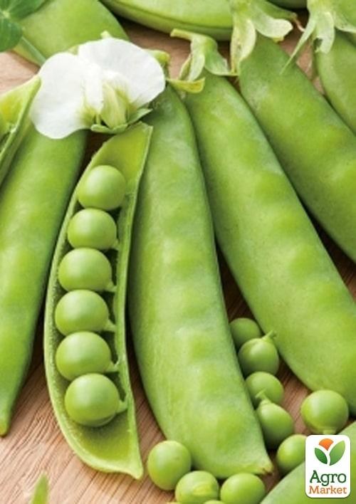 Горох овочевий "Вондер" ТМ "Lark Seeds" 100000шт