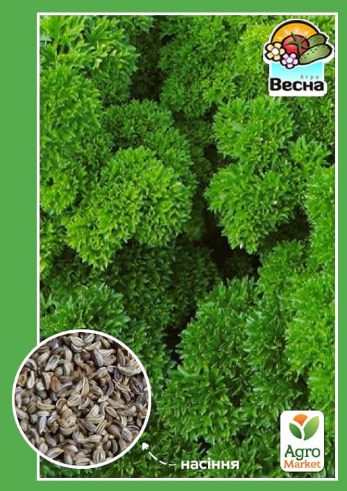 Петрушка кучерява ранньостиглий "Парамоунт" ТМ "Весна" 1.5г