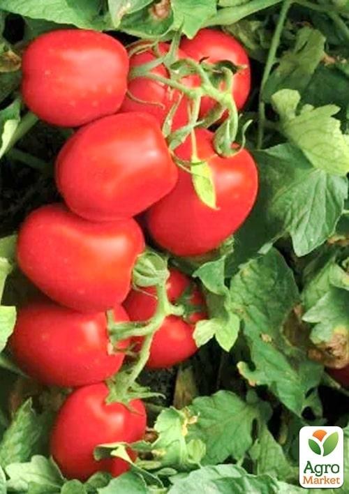 Томат детерминантный "1015 F1" ТМ "Lark Seeds" 5000шт