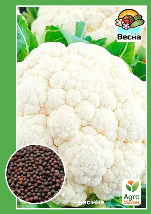 Капуста цвітна "Піонер" ТМ "Весна" 0.3г