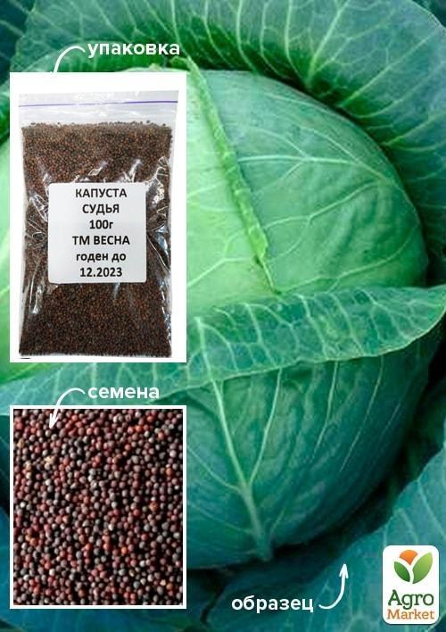 Капуста "Судья" ТМ "Весна" 100г